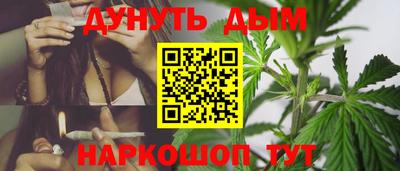 шишки Ставрополь