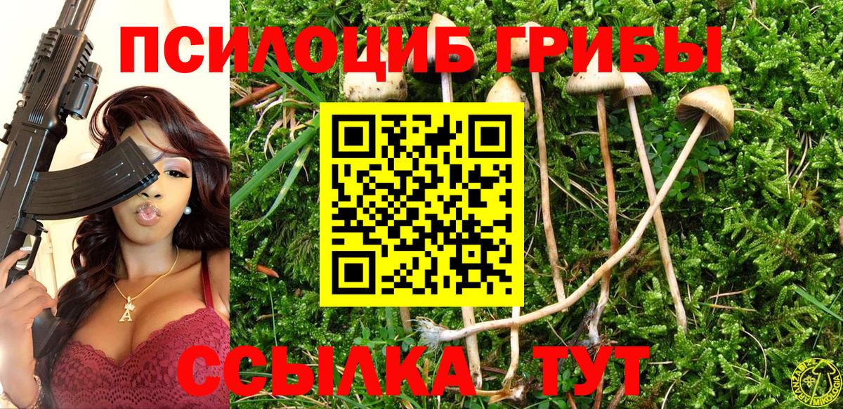 Псилоцибиновые грибы Magic Shrooms Сыктывкар