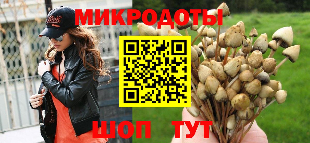 Сыктывкар  Галлюциногенные грибы Psilocybine cubensis  Вход с VPN  Галлюциногенные грибы прущие грибы 